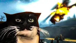 Half-Life 2 but I have a cat 2