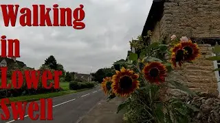 Walking in Lower Swell