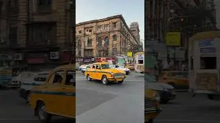 The City Of Joy 