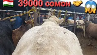 👍🔥😱🇹🇯6 октября 2024 г.МОЛБОЗОРИ ХУДЖАНД ХУЧАНД Molbozor bozor Тожикистон