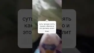 20 августа 2024 г.