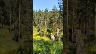 И вот мы и ГОРА, подъем нам только снился, но мечты сбываются!