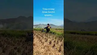 TIDAK GOYAH WALAU DITENGAH SAWAH🤣