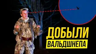 СУПЕР-ОХОТА на вальдшнепа! ВАЛЬДШНЕП НА ТЯГЕ - видео выстрела с прицела