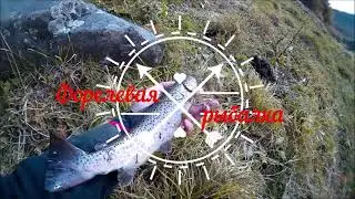 Форелевая рыбалка в горах. Где крупная форель ? Trout fishing.#troutfishing#форель#рыбалка#fishing