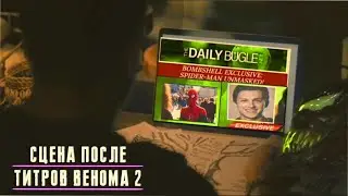 Сцена после титров Венома 2 с Человеком Пауком РЕАКЦИЯ / Когда выйдет Трейлер Человека Паука НПД ?
