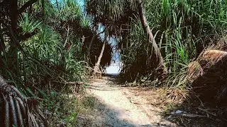 অদেখা স্বর্গ - সেন্টমার্টিন দ্বীপ ও ছেঁড়া দ্বীপ (Saint Martins Island and Chera Deep)