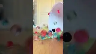 The magic ball wants to crush me 😱 Best video result #shorts Tiktok Damily