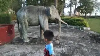 គេនឹកដំរីយូរៗទៅលេងម្តង