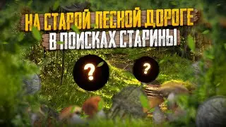 На старой лесной дороге. В поисках старины.