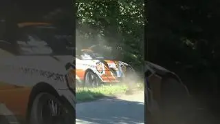 „Ale urwał” Rally version