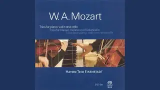 Piano Trio No. 1 in G Major, K. 496: II. Andante