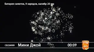 СБ226009 Мини Джой