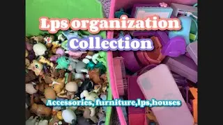 My lps collection/ how I organize my LPS! || littlest pet shop || collection