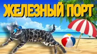 ЖЕЛЕЗНЫЙ ПОРТ 🌴💦 ВЕЧЕРНЯЯ ПРОГУЛКА 😼 С БЕНГАЛЬСКИМ КОТОМ
