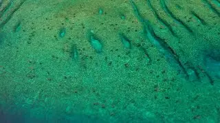 Thousands of turtles off Raine Island – 2022 Nesting Season