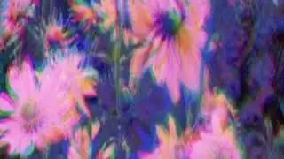 Error Beats VIBE TYPE BEAT “Summer Sex”