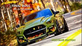 final boss for the STI build: the dragon part four