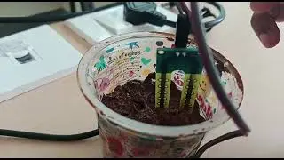 soil moisture detection and alerting system