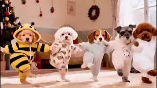 Funny dogs group dance animation