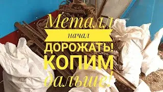Металл дорожает, но мы копим. Коп металла в заброшенной деревне.