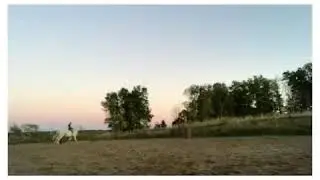 Bareback Riding expectations vs reality