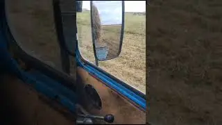 МТЗ 82 возим сено