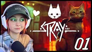CATS CAN READ | Stray Lets Play Part One