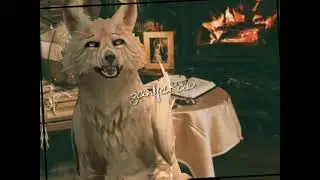 [ wcmv — на твиче ] °°Part on map°°