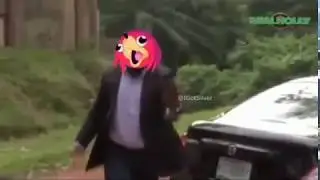 WHY ARE YOU RUNNING?