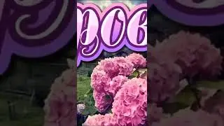 привет доброго дня