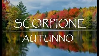 SCORPIONE 🍂 AUTUNNO 2024
