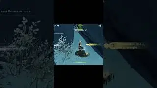 Сундуки в Genshin Impact 37 