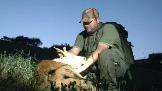CACCIA al CAPRIOLO (Selezione) - Prelievo M1 - Roe Deer Hunting