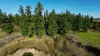 Beginner takes Extreme FPV Drone DIVE into the Forrest - DJI Avata