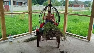 Лиса 🦊 в укропе