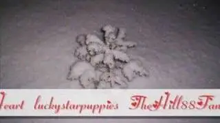 Seasons Greetings!