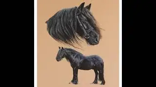 Caren`s Artworks - A Portrait Artist Who Specialises In Equine Original Artwork