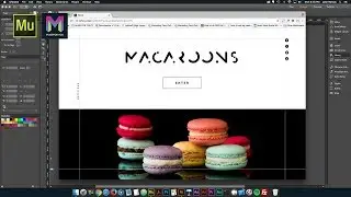 Lining it Up! | Adobe Muse CC | Muse For You