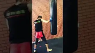 #shorts #tiktok как надо любить грушу #box #boxing #груша
