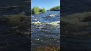 Лосевские пороги на реке Вуокса #вуокса #лосево #отдых #пороги#река#природа
