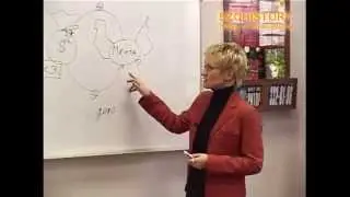 Наталья Грейс. Мечта и везение