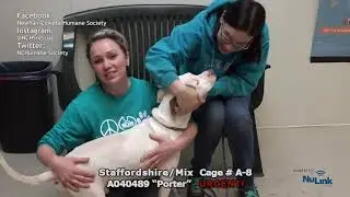 AdoptAPet Show 20200309