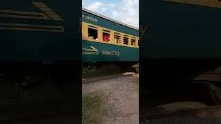 train