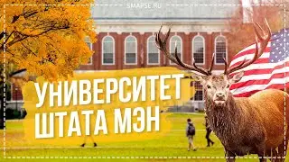 How to apply to university in the USA. University of Maine (Umaine). Education in the USA