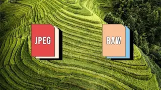 Raw vs. JPEG: Which to Use and Why