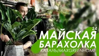 Майская 