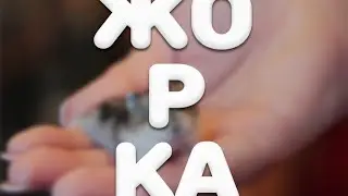 моё первое содержание японских мышек 🐭