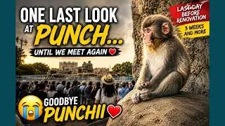 What Punch Did at Closing Time Made This Goodbye Unforgettable