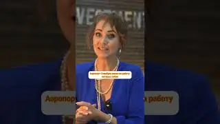 Собаки терапевты в аэропорту Стамбула #home #realestate #builder #news #antalya #море #новости